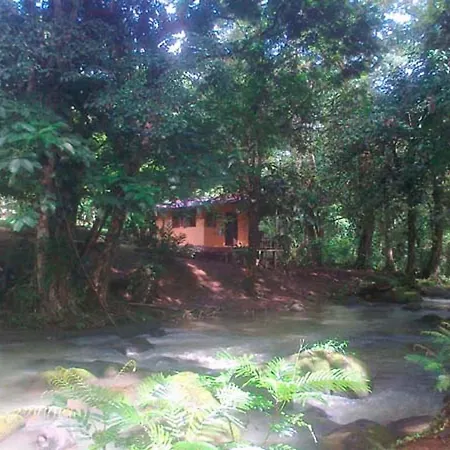 Vanilla Jungle Lodge - Rainforest Waterfall Garden Puerto Viejo de Sarapiqui Exterior photo