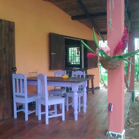 Vanilla Jungle Lodge - Rainforest Waterfall Garden Puerto Viejo de Sarapiqui Exterior photo