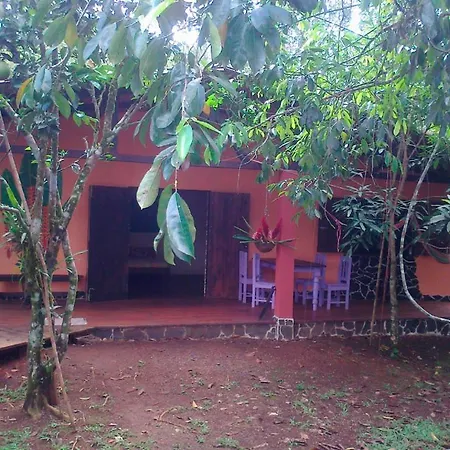 Vanilla Jungle Lodge - Rainforest Waterfall Garden Puerto Viejo de Sarapiqui Exterior photo