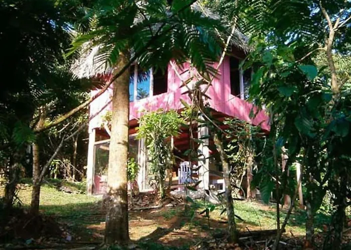 Vanilla Jungle Lodge - Rainforest Waterfall Garden