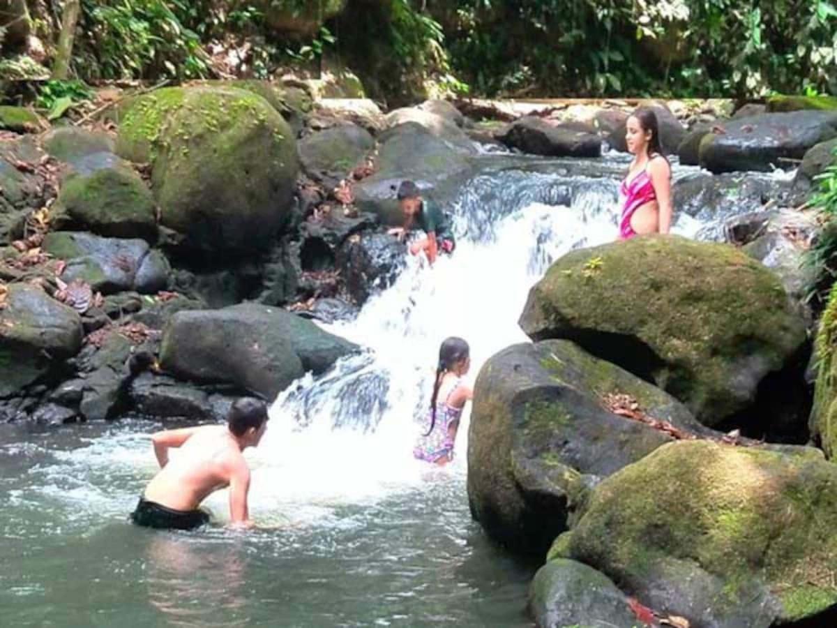 Lodge Vanilla Jungle - Rainforest Waterfall Garden *