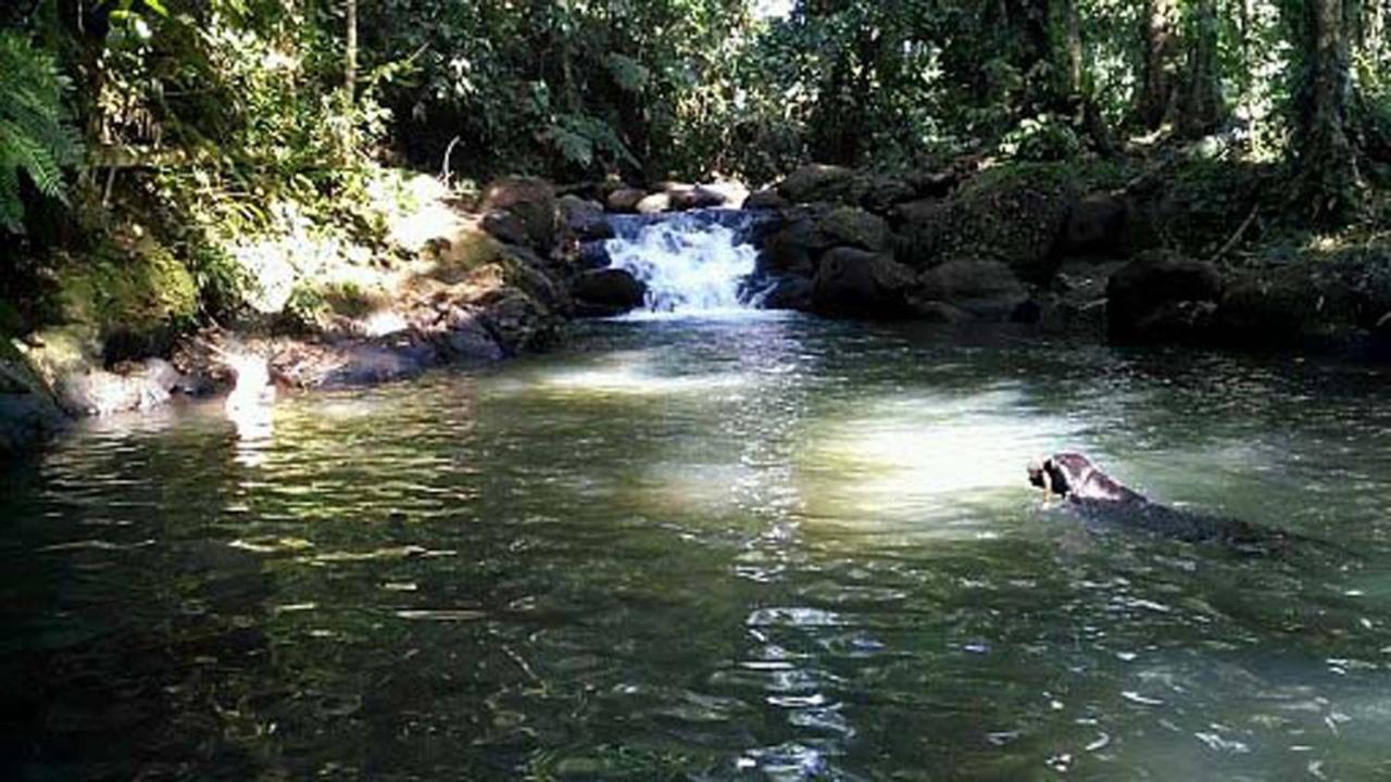 Vanilla Jungle - Rainforest Waterfall Garden Puerto Viejo de Sarapiqui