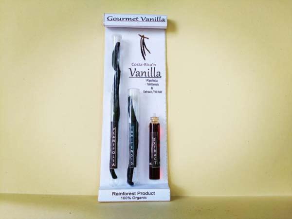 Vanilla Jungle - Rainforest Waterfall Garden