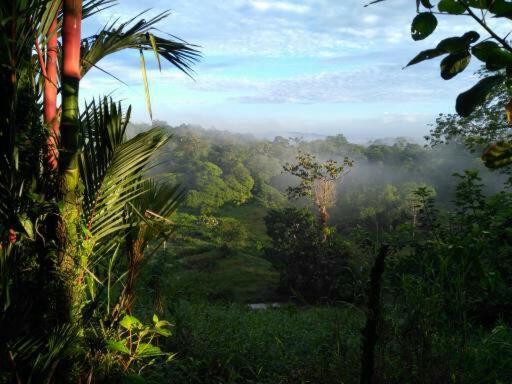Vanilla Jungle - Rainforest Waterfall Garden Puerto Viejo de Sarapiqui