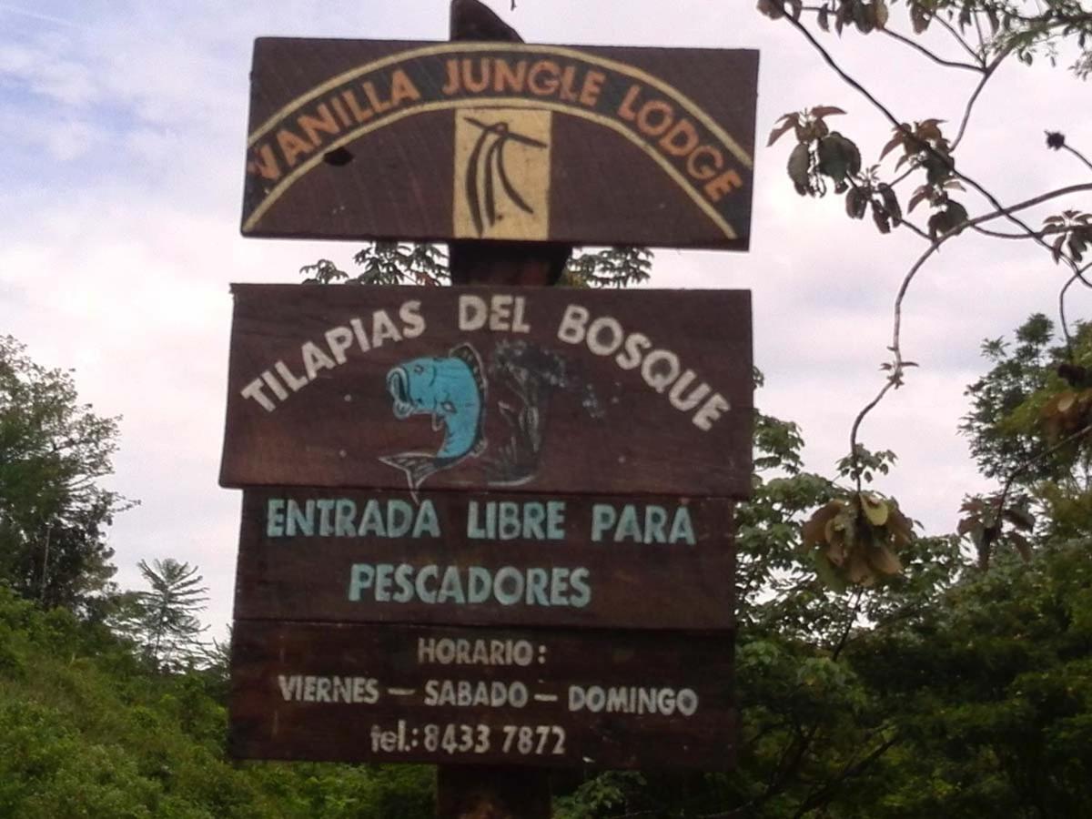Vanilla Jungle - Rainforest Waterfall Garden Lodge