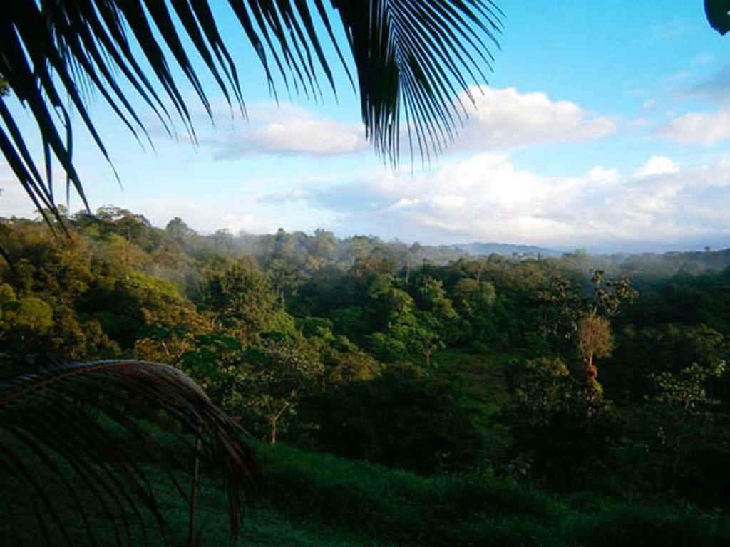 Vanilla Jungle - Rainforest Waterfall Garden Lodge *