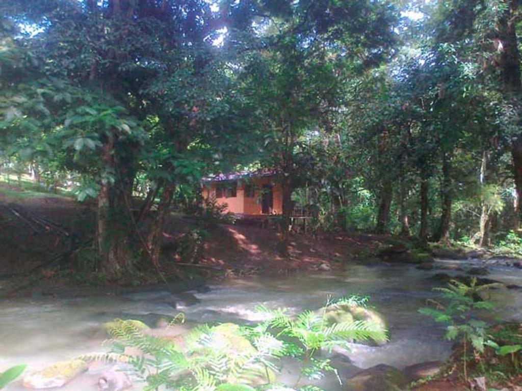 Lodge Vanilla Jungle - Rainforest Waterfall Garden